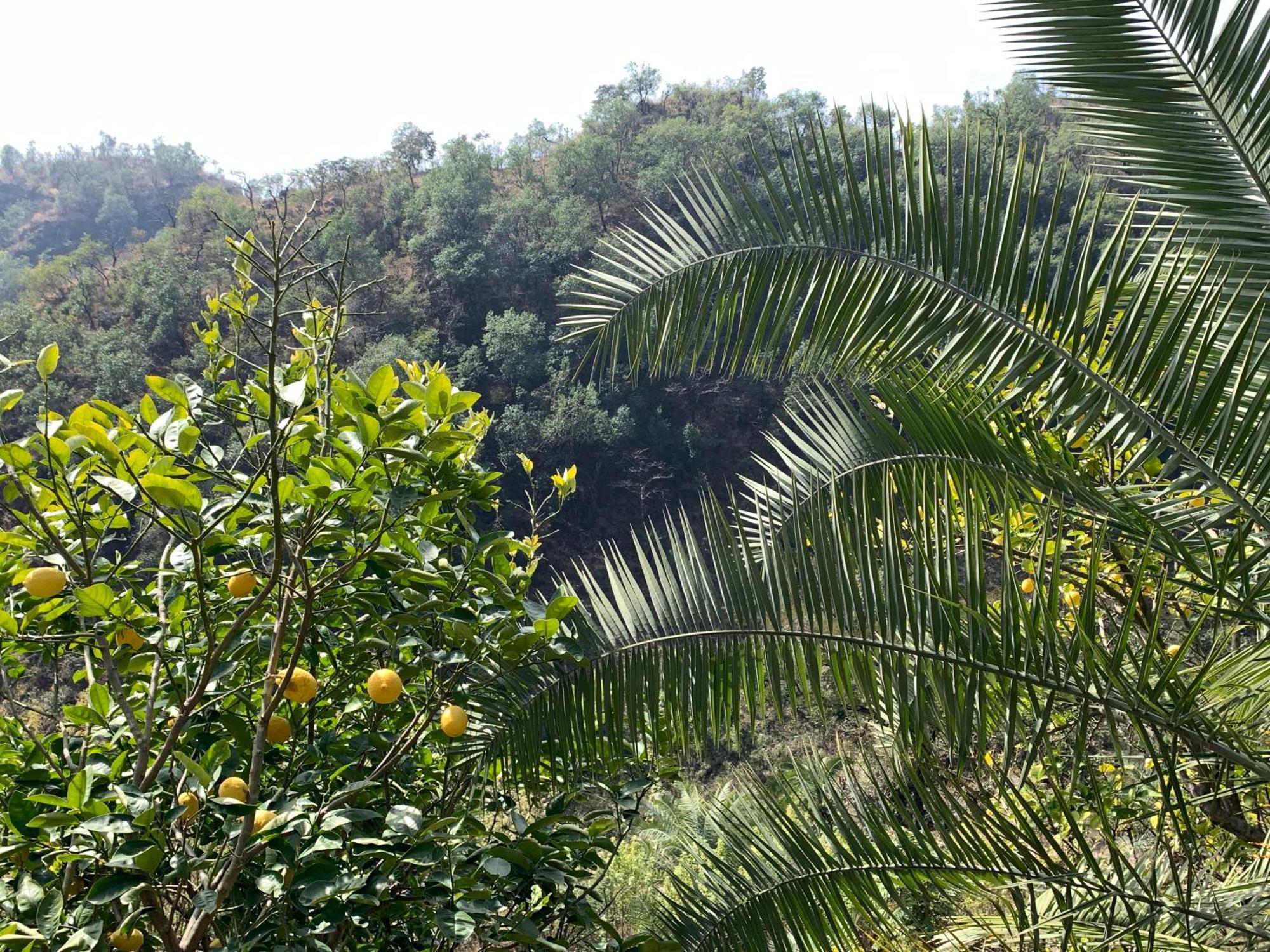 Clan Boho Hostel Rishikesh Exterior photo